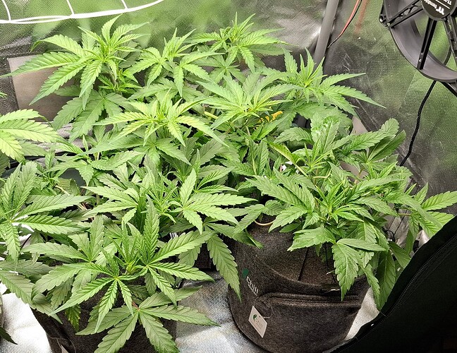 Growreport Bild 12