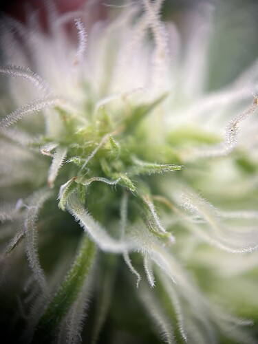 Growreport Bild 23
