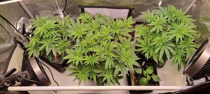 Growreport Bild 17