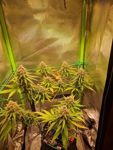 Growreport Bild 7
