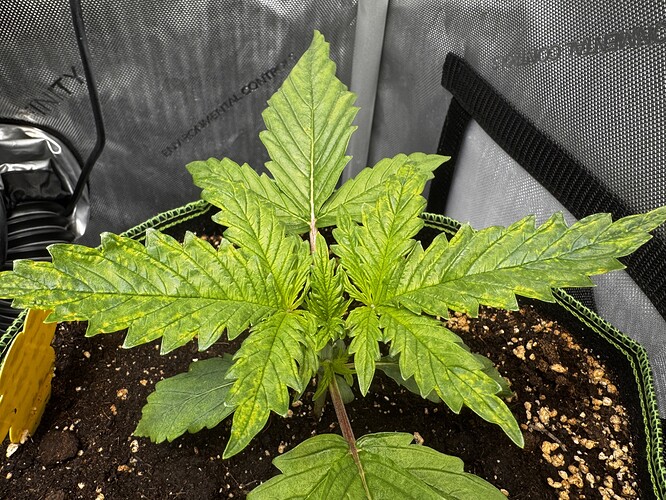 Growreport Bild 2