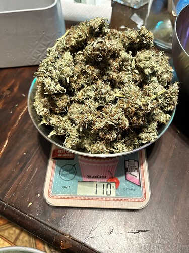 Eine Schüssel mit getrimmten Cannabis-Buds steht auf einer digitalen Küchenwaage, die 110 Gramm anzeigt.