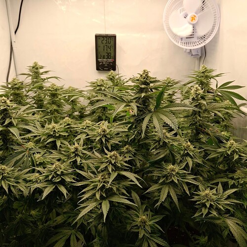 475860852_122166702494293599_7957586656063842375_n