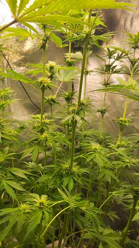 Growreport Bild 22