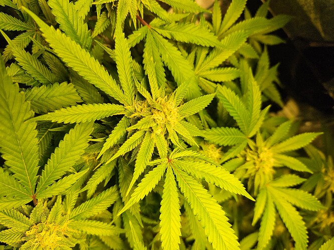 Growreport Bild 10