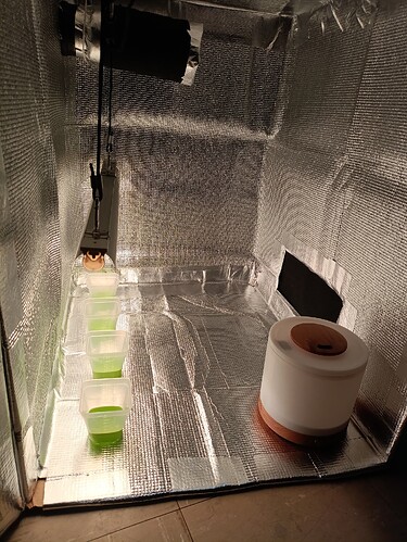Growreport Bild 23