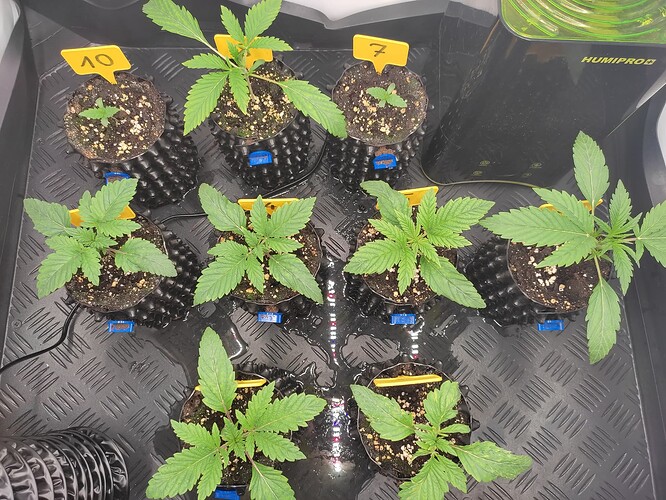 Growreport Bild 5
