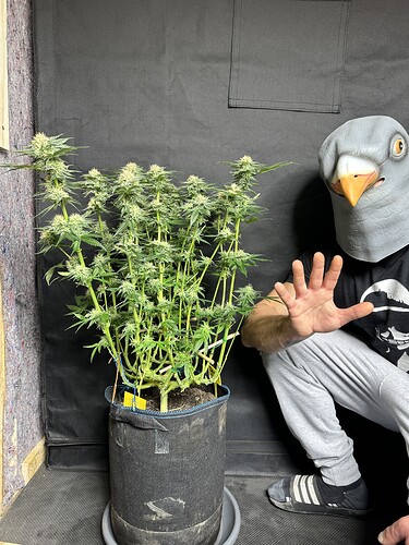 Growreport Bild 10