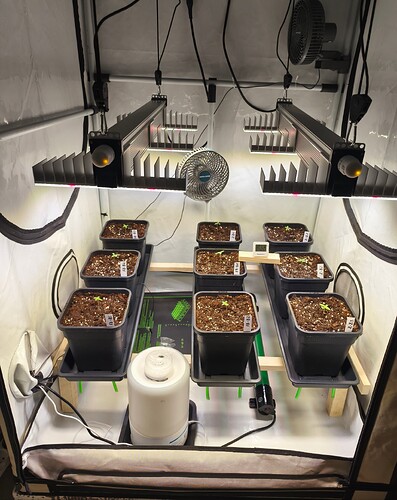 Growreport Bild 14