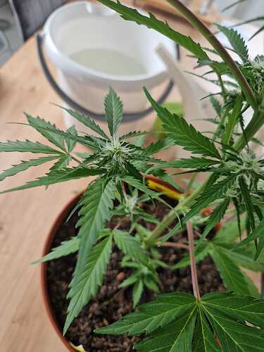 WhatsApp Image 2024-05-24 at 16.08.16 (1)