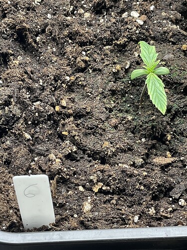 Growreport Bild 7