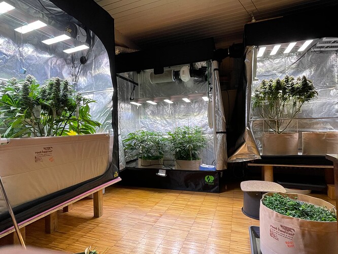Growreport Bild 1