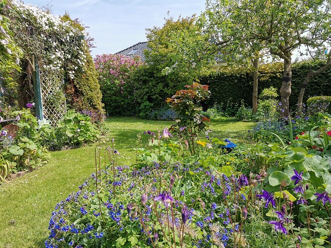 Garten (6)