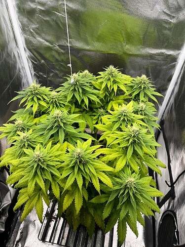 Growreport Bild 18