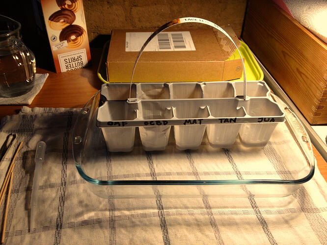 Grow26_0503_Aussaat1_03