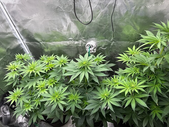 Growreport Bild 10