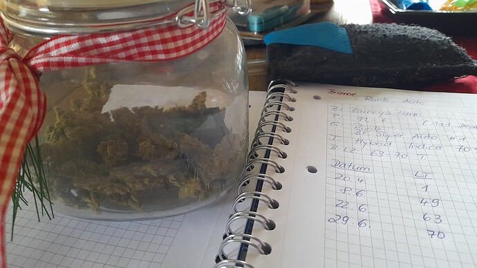 Growreport Bild 5