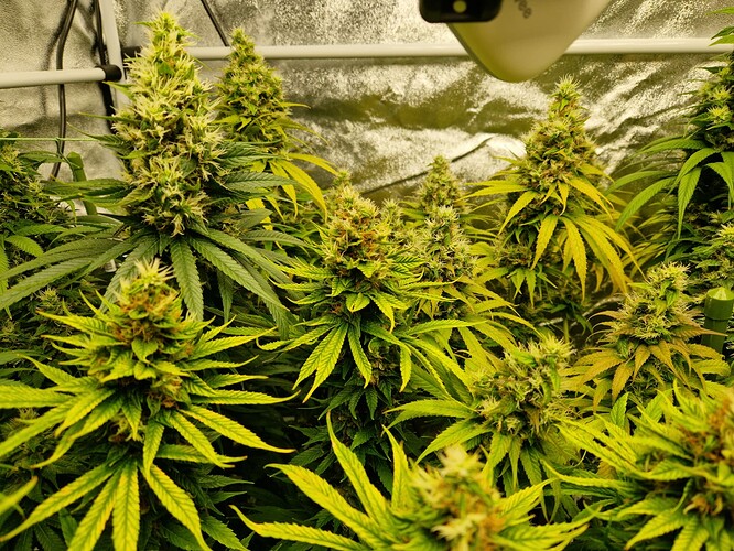 Growreport Bild 10