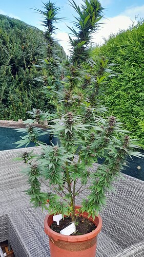 Growreport Bild 10