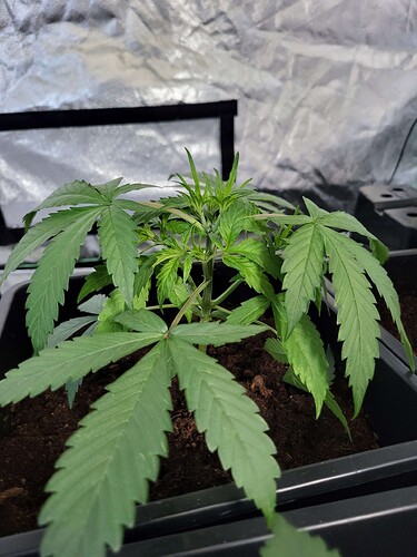 rn_image_picker_lib_temp_b4c89fe1-224e-4d8b-9491-26ea12a3818f