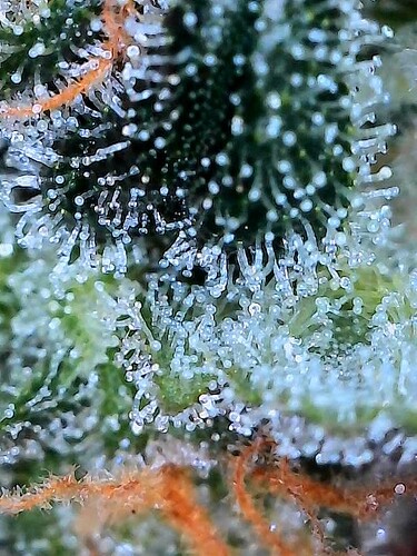 2024-12-03-22-06-58-310