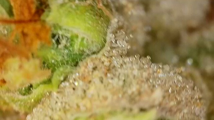 Growreport Bild 19