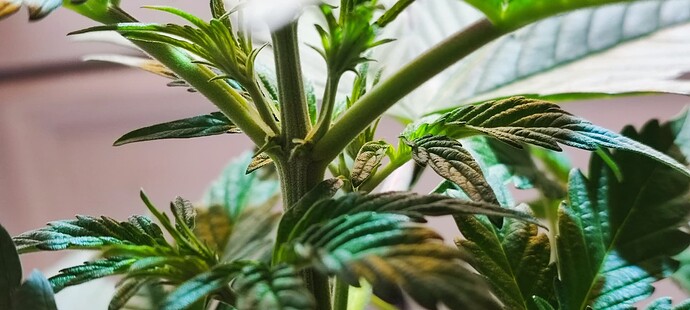 Growreport Bild 4