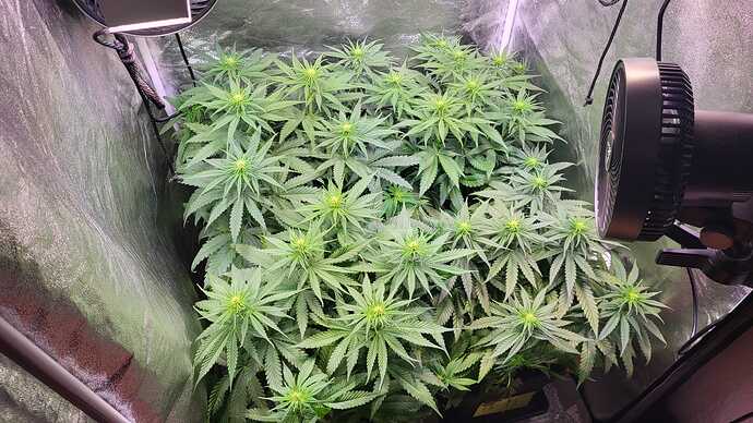 Growreport Bild 11