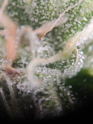 MVIMG_20251112_213317