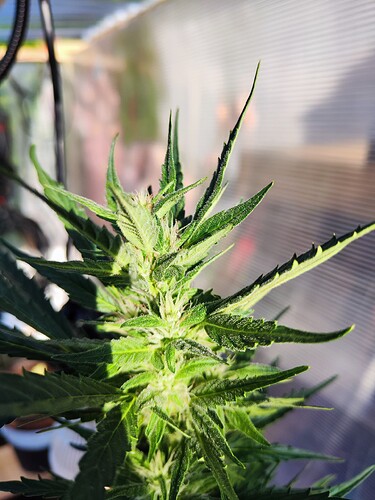 Growreport Bild 6