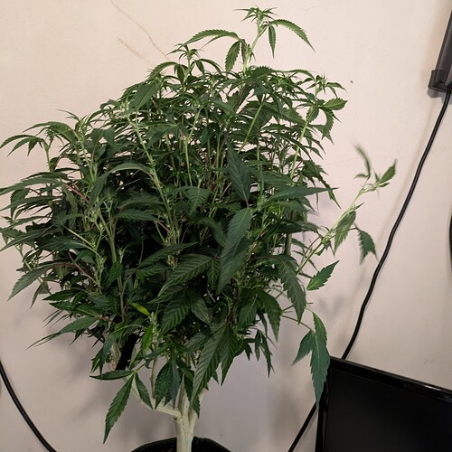Growreport Bild 9