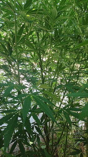 Growreport Bild 11