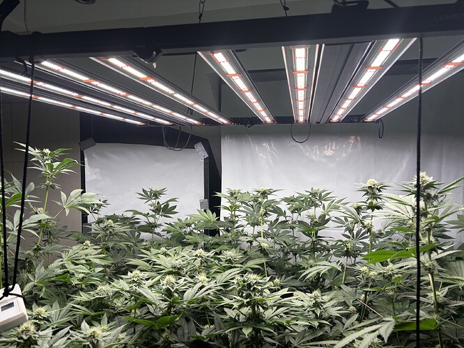 Growreport Bild 27