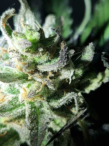 WhatsApp Image 2024-06-26 at 21.58.08 (1)