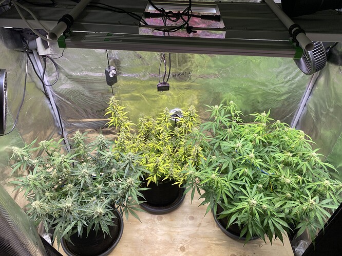 Growreport Bild 45