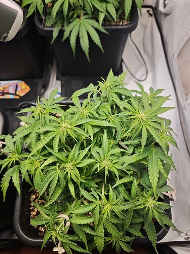 MVIMG_20251017_162026