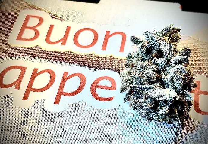 Growreport Bild 1