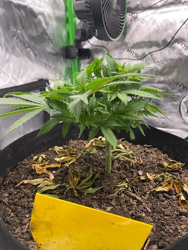 Growreport Bild 1