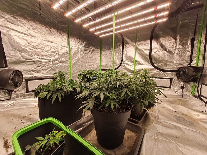Growreport Bild 10