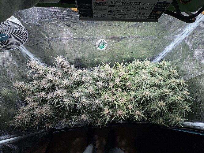 Growreport Bild 8