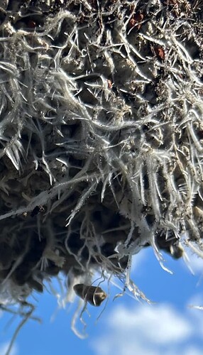 Growreport Bild 27