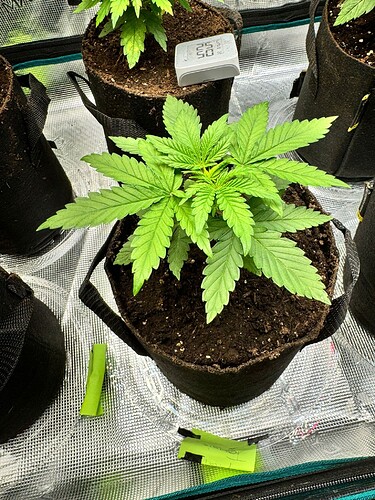 WhatsApp Image 2024-04-14 at 19.56.06 (1)