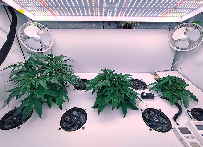 Growreport Bild 6
