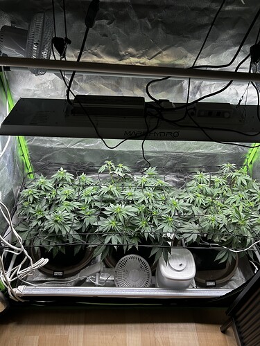 Growreport Bild 15