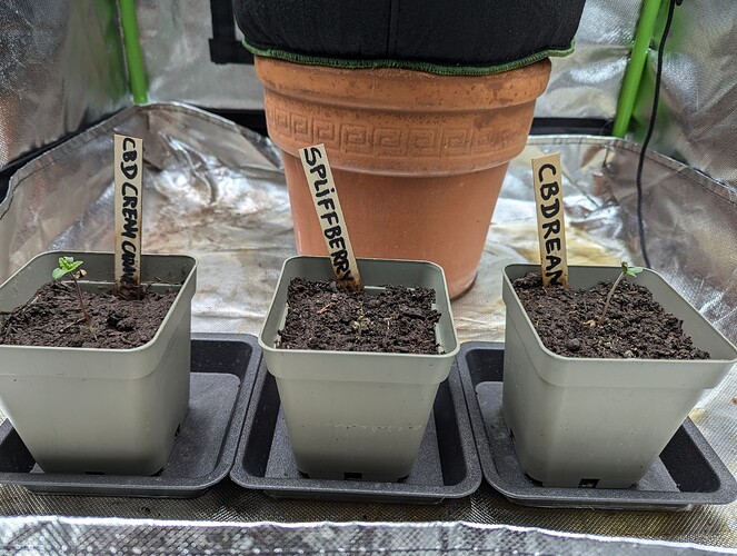 PXL_20240703_201158877.RAW-01.COVER