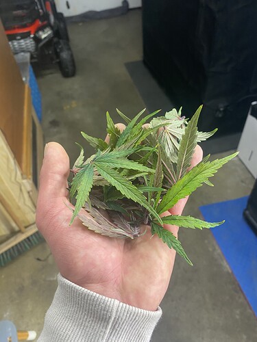 Growreport Bild 21