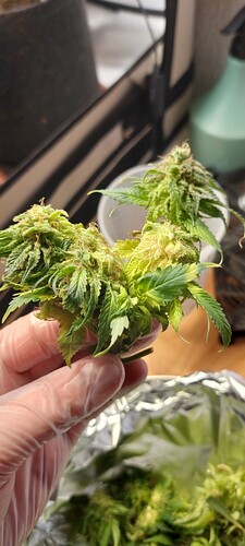 Growreport Bild 9