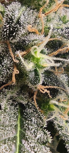Growreport Bild 11