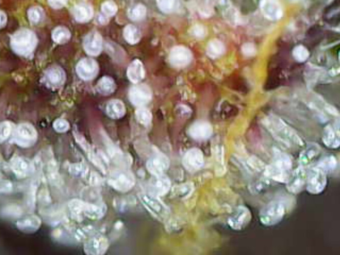 Image_2025-01-07 16_34_33_565