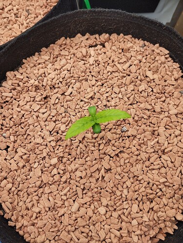 Growreport Bild 23